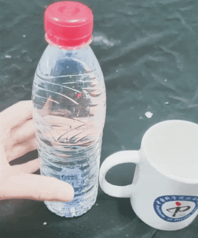 幼儿科学小实验