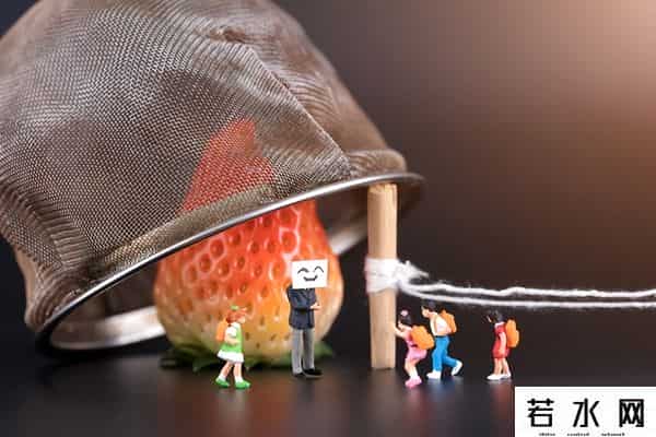 ETF购买平台大揭秘：券商、银行、指数直通车，谁是你的菜？