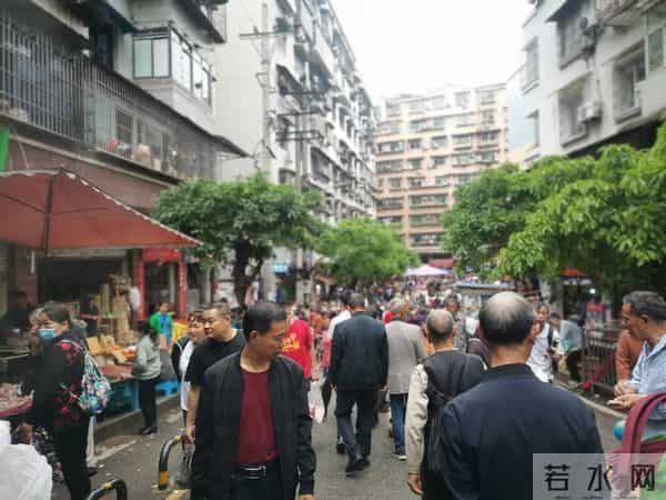 重庆宠物用品批发市场