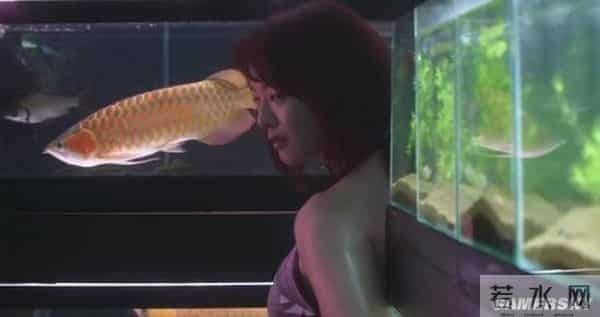 泽尻绘里香电影