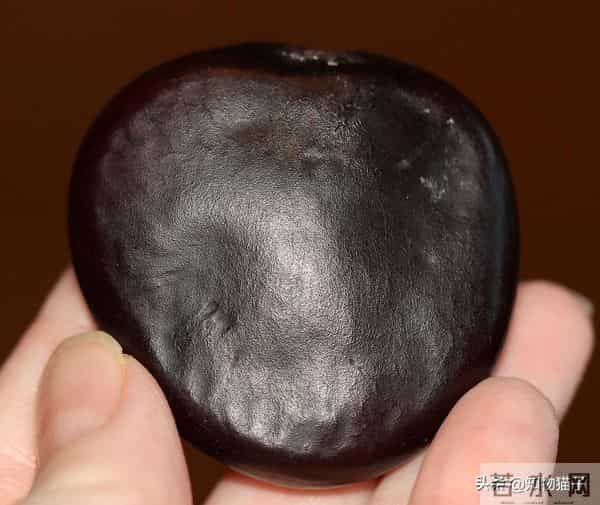 过江龙奇油：榼藤子，诨名“过江龙”：杰克与豌豆的童话故事，保不齐是真的呢