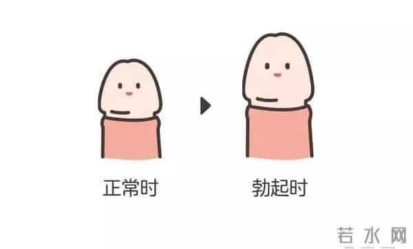 小JJ：男宝私处说明书：包皮、蛋蛋、小 JJ，这些问题必须得知道