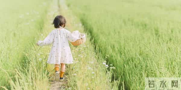 玫瑰少年是什么意思