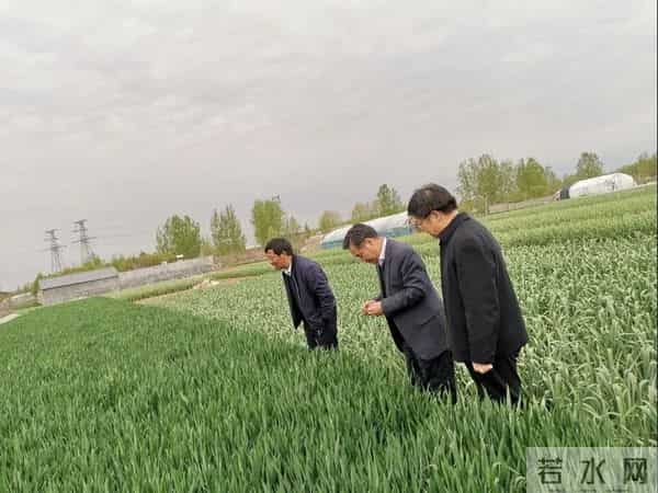 临沂女干部亮证件身份被扒