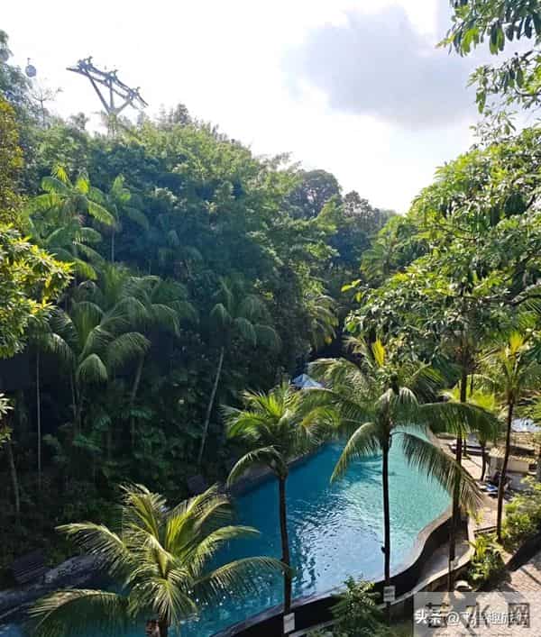 印度自助游:新加坡自由行必备,一文解锁签证,景点,吃住玩超详细攻略