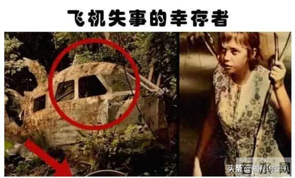 德国空难：空难惊魂：17岁德国少女千米高空坠落生还，汽油清洗伤口扯出蛆虫