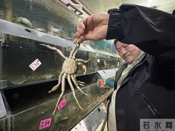 手机壳团购：型号蟹卡“标价”高背后：1—4折可入手，有品牌蟹卡被“黄牛”拒收 - 大闸蟹市场调查·蟹卡乱局②