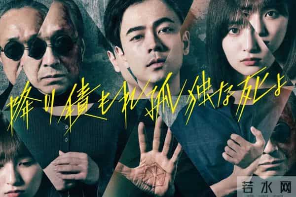 日剧49：24年夏季日剧大盘点！49部新剧高能剧情介绍，一周七天全部安排！