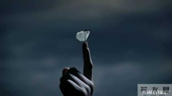 泽尻绘里香电影