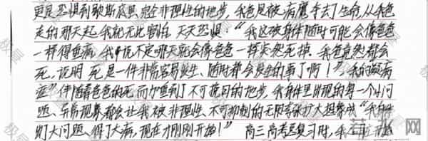 弑母死刑犯吴谢宇手写5万字求谅解