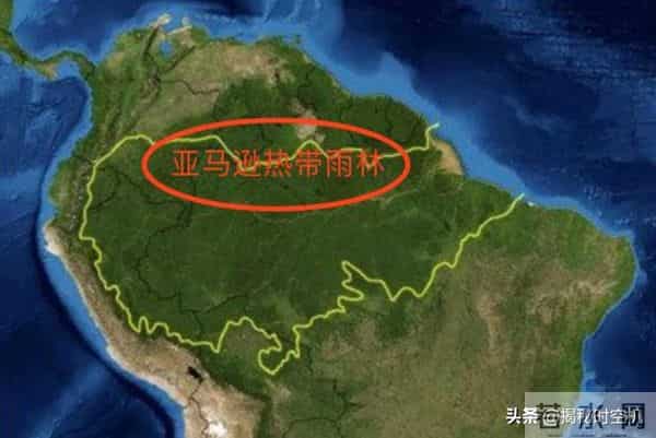 德国空难：空难惊魂：17岁德国少女千米高空坠落生还，汽油清洗伤口扯出蛆虫