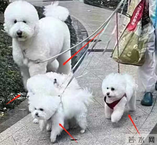 李佳琦直播间怎么停播了