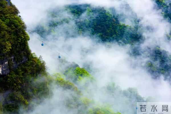 重庆打折网：周末圈 - 免费+半价！重庆妹儿快来“捡趴活”~