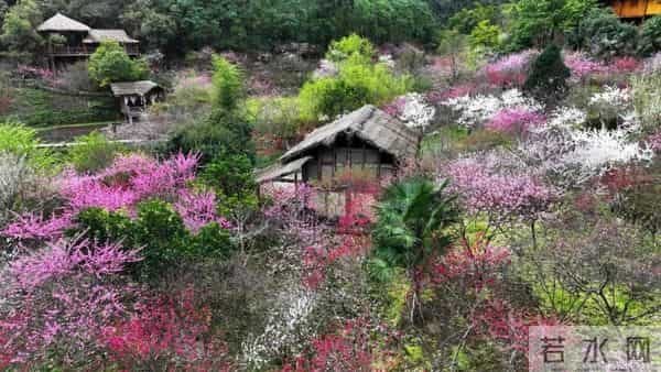 重庆打折网：周末圈 - 免费+半价！重庆妹儿快来“捡趴活”~