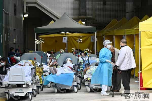 余雅颖：香港这个“清流”富三代，每天都在给市民发钱
