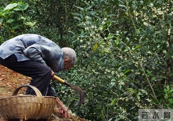 和理发店阿姨第一次