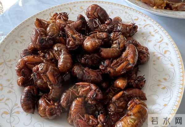 全国统一的春节噩梦