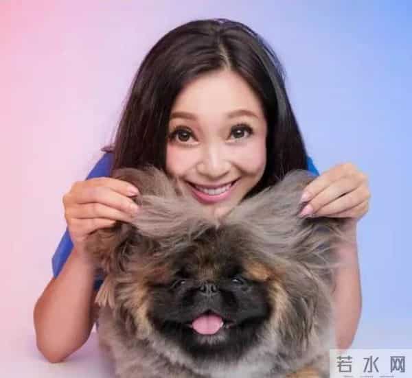 傅明宪微博：退圈23年，最美古装女神近照曝光吓坏网友：她怎“沦落”成这样？