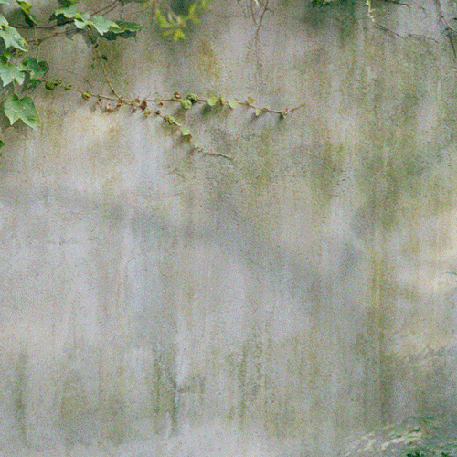 日媒曝菅田将晖小松菜奈同居