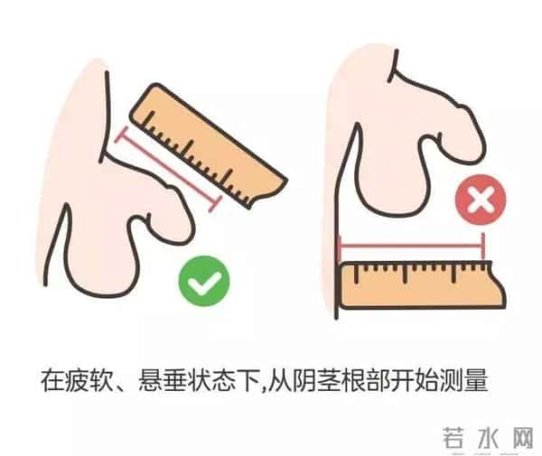 小JJ：男宝私处说明书：包皮、蛋蛋、小 JJ，这些问题必须得知道