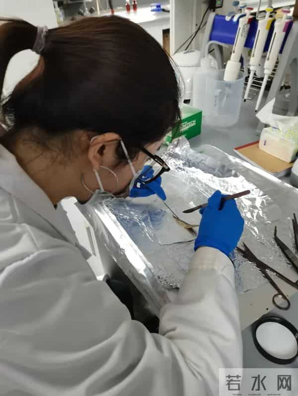 天外天 天津大学