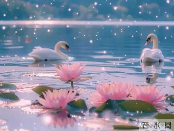 众人都是孤独的那种孤独,不是没人陪,而是没人慬