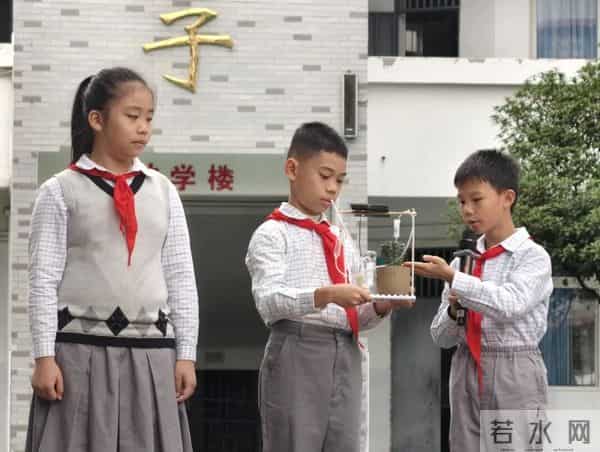 表现校园生活的作品