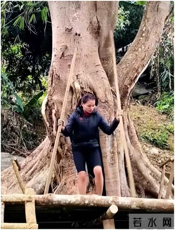 太阳影子定位荒野求生实用知识(科普知识)