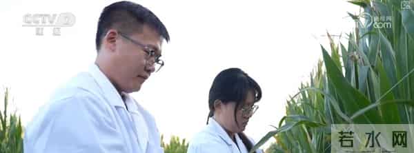 产学研融合高校科研“接地气” 打破学科壁垒为毕业生开拓全新职业蓝海