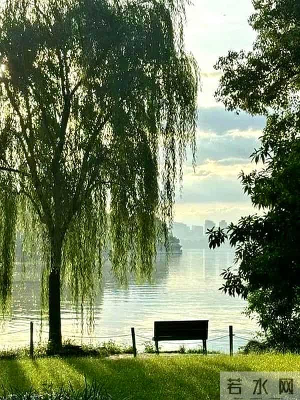 你的意义是什么 测试在哪