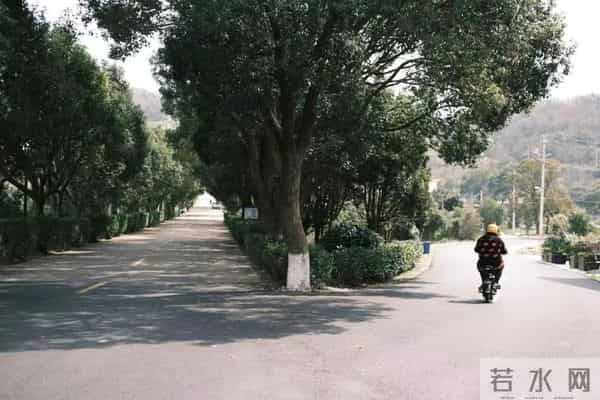 碧海潮声大学生网免费旅游！舟山这里发出邀请→