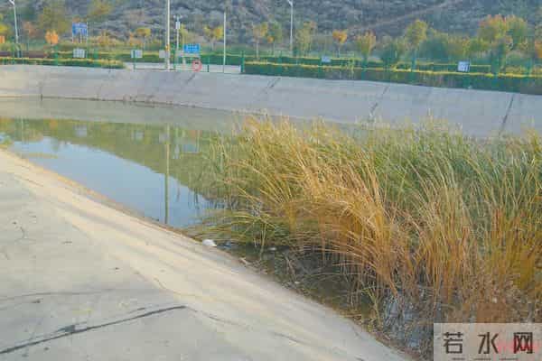 18岁准大学生救人身亡获评“见义勇为”，母亲为求一篇“公开报道”四处奔走：不想他做了好事还被瞎猜