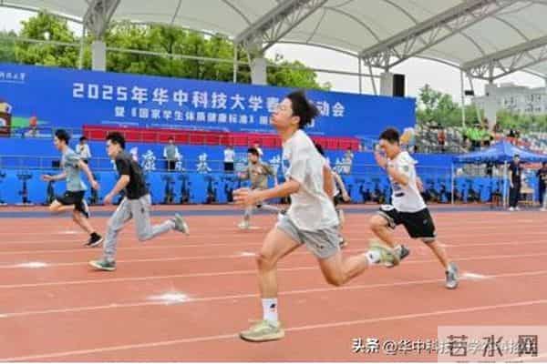 树人大学图书馆@准大一新生:拆开华科大“盲盒”,解锁无限惊喜!