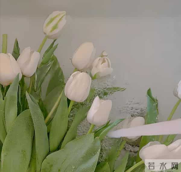 让女人对你产生心动的好方法:吊桥效应