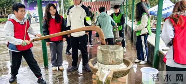 军训拓展活动有哪些项目