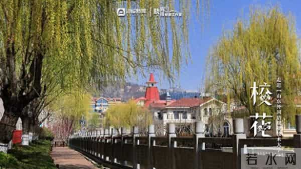 校园春色 班花校花来了 -  ②沉醉于“山外”春色，忘我于芬芳之间