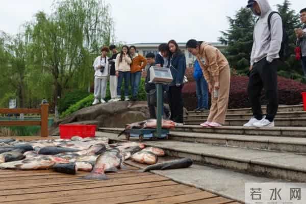 国语自产拍大学生在线观看