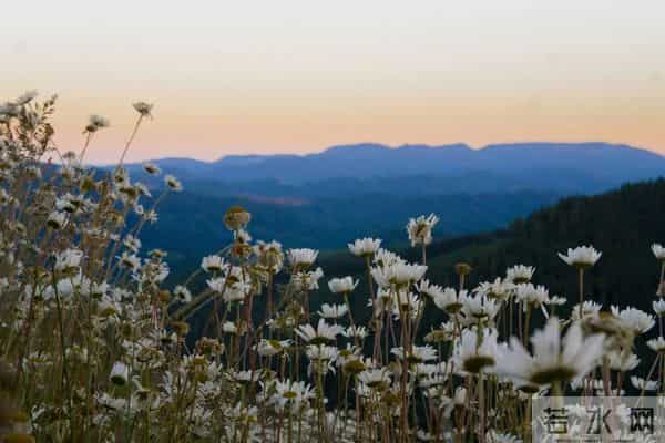 2022年会计初级证报名时间