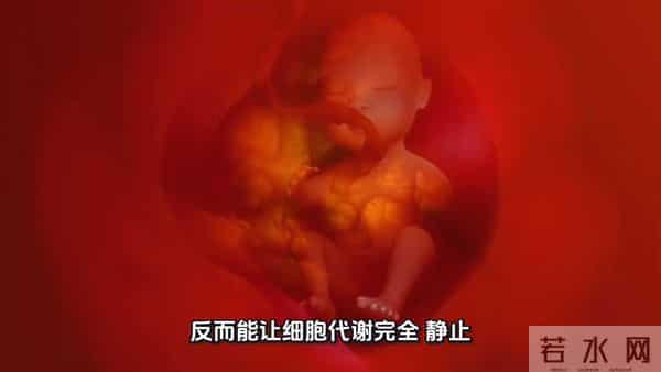 国产小视频学生2020