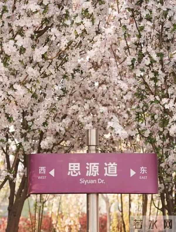 大学生活是什么样的