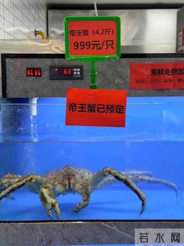 南京一大学食堂免费送当日剩餐