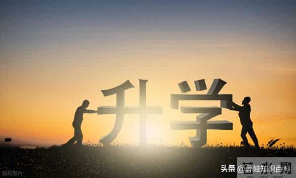 高职单招是什么意思