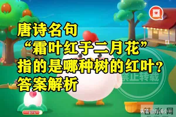 霜叶红于二月花是指什么树