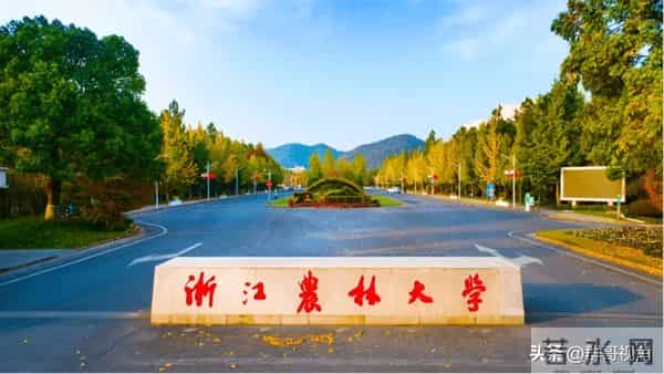 东海科学技术学院十四五期间，浙江新增3所高校，22所高校实现办学层次升级