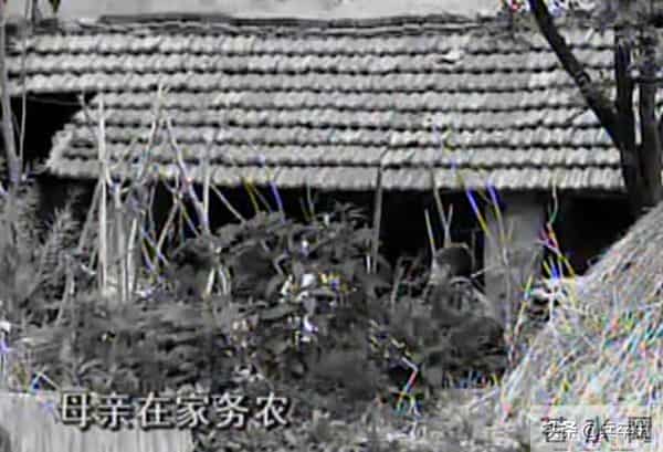 大学生寂寞成灾悲剧！湖北22岁大学生网游成瘾，沉溺网吧10年，归家5天后惨死