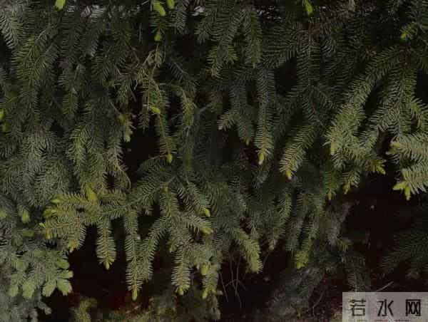 哈工大发光通知书