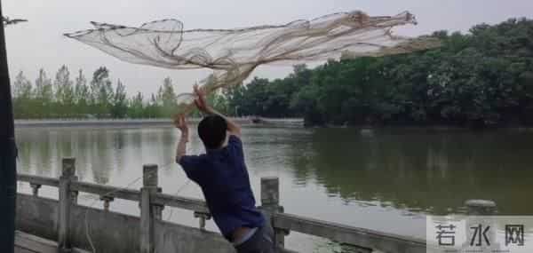 某大学生写的试卷