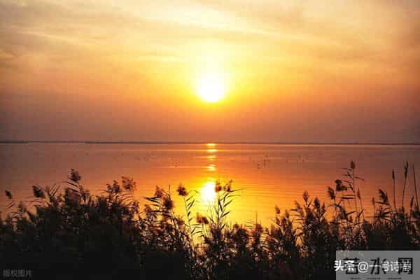 清代诗人的一首小诗,意境令人沉醉,后两句太生动