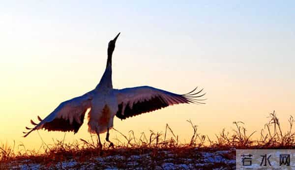 儿童心理学案例「汪教授分享」孩子，假如你有一天得了精神分裂症