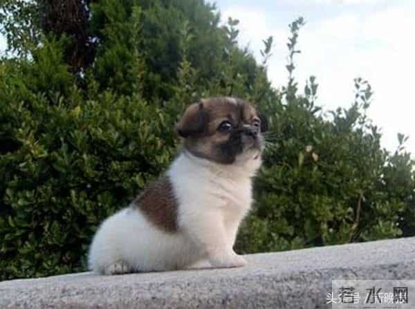 全国普通话标准程度对照表曝光,请对号入座,看完不喷饭算我输